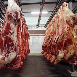 america export carne
