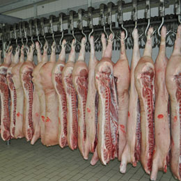 export carcase