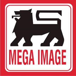 mega-image-11